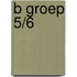 B Groep 5/6