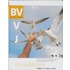 6 Vmbo-t/havo/vwo