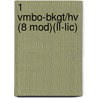 1 Vmbo-bkgt/hv (8 mod)(ll-lic) door R. Passier