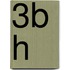 3b H