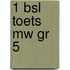1 BSL toets mw gr 5
