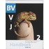 1 vmbo-bk 2