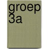 Groep 3a door Onbekend