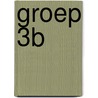 groep 3b door Onbekend