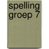 Spelling groep 7