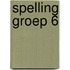 Spelling groep 6