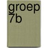 Groep 7B