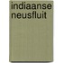 Indiaanse neusfluit