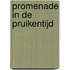 Promenade in de pruikentijd