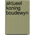 Aktueel koning boudewyn