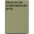 Steve en de ondersteboven prins