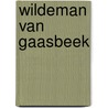 Wildeman van Gaasbeek by Willy Vandersteen