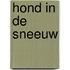 Hond in de sneeuw