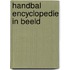 Handbal encyclopedie in beeld