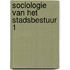 Sociologie van het stadsbestuur 1