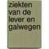 Ziekten van de lever en galwegen