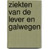 Ziekten van de lever en galwegen