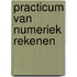 Practicum van numeriek rekenen
