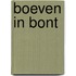 Boeven in bont