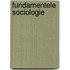 Fundamentele sociologie