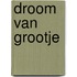 Droom van grootje