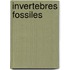 Invertebres fossiles