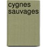 Cygnes sauvages