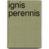 Ignis Perennis