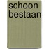 Schoon bestaan