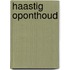 Haastig oponthoud