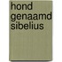 Hond genaamd sibelius