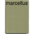 Marcellus