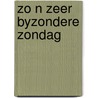 Zo n zeer byzondere zondag door Mireille Cottenje