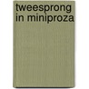 Tweesprong in miniproza by Bousset
