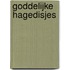 Goddelijke hagedisjes