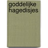 Goddelijke hagedisjes by Willy Roggeman