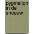 Pygmalion in de sneeuw