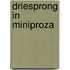Driesprong in miniproza