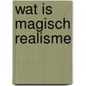 Wat is magisch realisme door Daisne