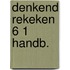 Denkend rekeken 6 1 handb.