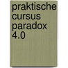 Praktische cursus paradox 4.0 door Minnaert