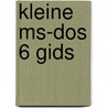 Kleine ms-dos 6 gids by Lawrence W. Neuman