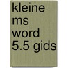 Kleine ms word 5.5 gids door Pfaffenberger