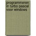 Programmeren in turbo pascal voor windows