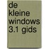 De kleine Windows 3.1 gids