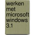 Werken met Microsoft Windows 3.1
