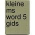 Kleine ms word 5 gids