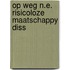 Op weg n.e. risicoloze maatschappy diss