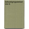 Bekostigingsstelsel vso b door Onbekend