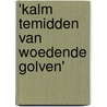 'Kalm temidden van woedende golven' door B. de Graaff